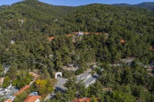 Aerial View of the Forest Park Hotel