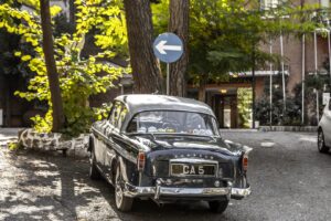 The Forest Park Hotel